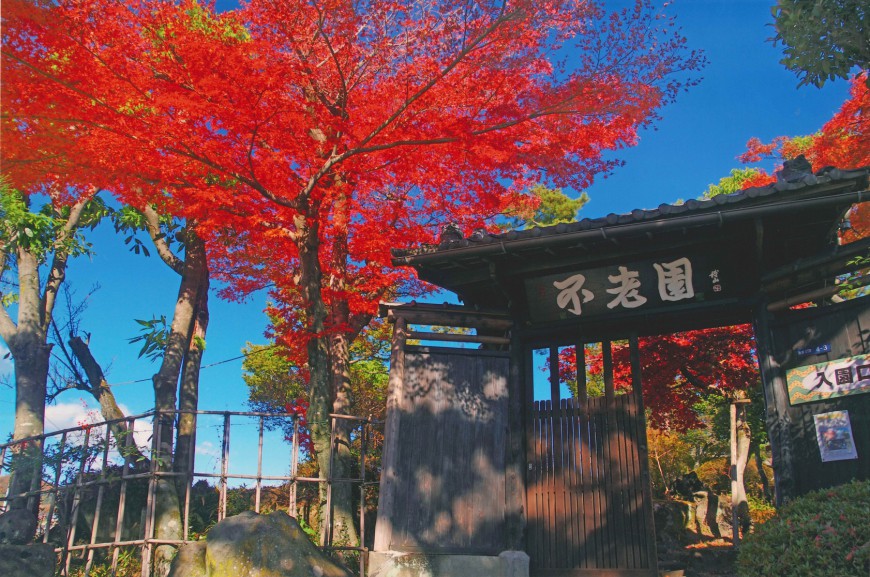 不老園 梅 観光地 山梨 フォトコンテスト 結果