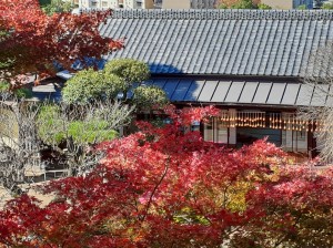 園内の高台からの紅葉