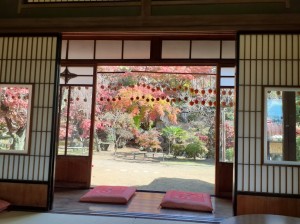 長生閣でお茶を飲みながらの景色。