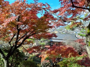 山の上はまだまだ見頃です。