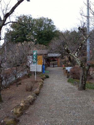 入園口付近はこれからです。