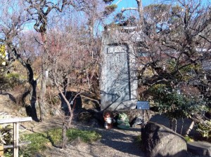 入園口付近も少し開花！