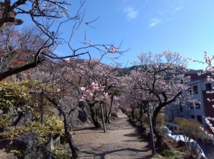 入園口から順路に沿って。