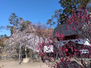 梅天神前。