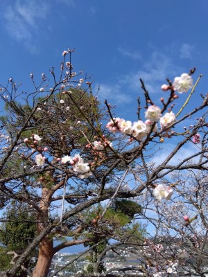 展望台下の「思いのまま」