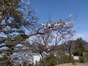 展望台下の「思いのまま」