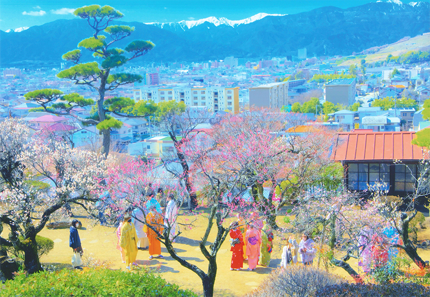 不老園 梅 観光地 山梨 フォトコンテスト 結果