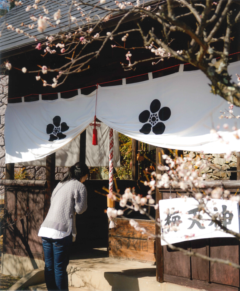 不老園 梅 観光地 山梨 フォトコンテスト 結果
