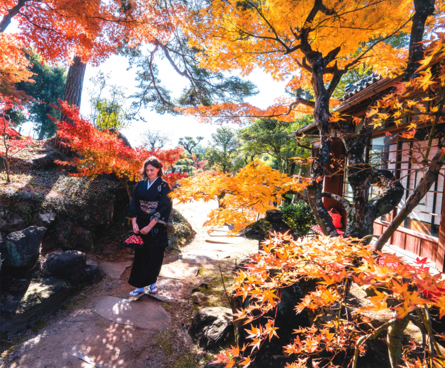 不老園 梅 観光地 山梨 フォトコンテスト 結果