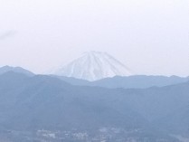 IMG_2025-02-01-15-10-31-039[1]