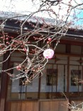 IMG_2025-02-04-11-25-22-697[1]