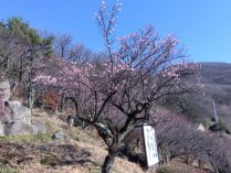 IMG_2025-02-17-09-08-41-049[1]