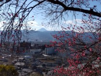 IMG_2025-02-18-08-42-25-881