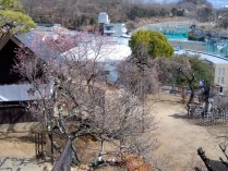 IMG_2025-02-21-13-17-43-823[1]