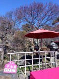 IMG_2025-02-27-10-29-07-109[1]