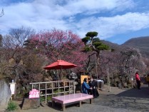 IMG_2025-03-02-09-47-19-219[1]