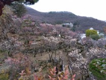 IMG_2025-03-06-08-40-03-762[1]