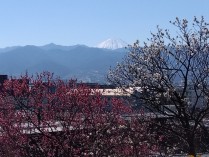 IMG_2025-03-10-10-28-22-823[1]