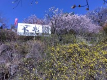 IMG_2025-03-17-10-45-39-475[1]