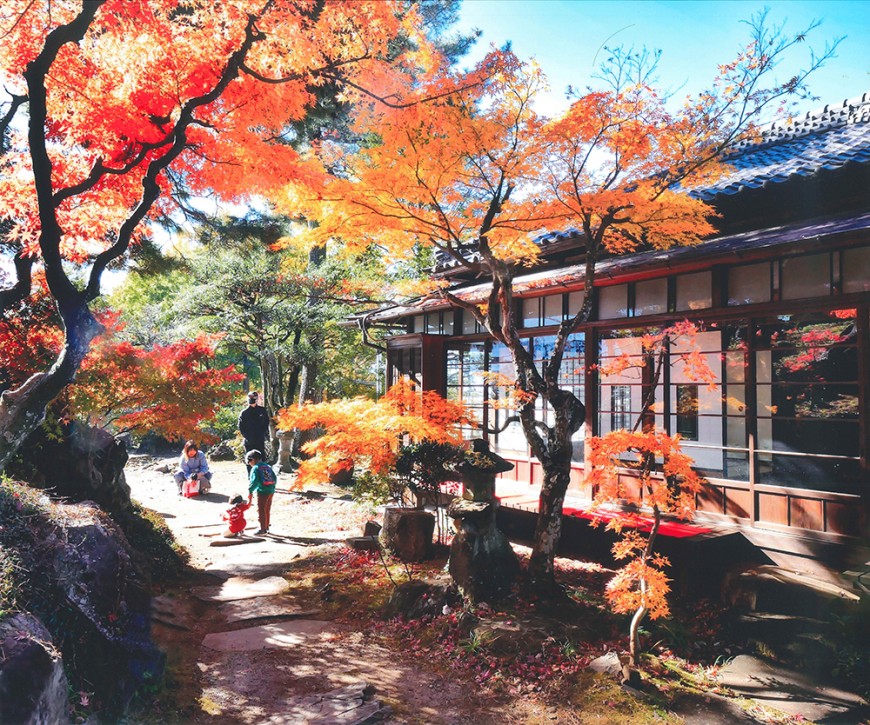 不老園 梅 観光地 山梨 フォトコンテスト 結果