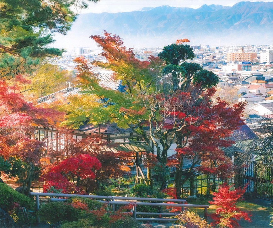不老園 梅 観光地 山梨 フォトコンテスト 結果
