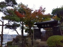 IMG_2025-11-13-10-46-59-673[1]