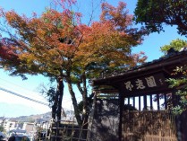 IMG_2025-11-14-11-10-05-119