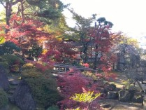 IMG_2025-11-17-10-15-12-902[1]