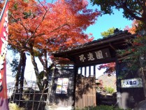 IMG_2025-11-20-10-54-10-960