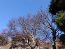 IMG_2026-01-19-10-44-05-769[1]